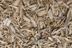 biomass boilers Pentrebane
